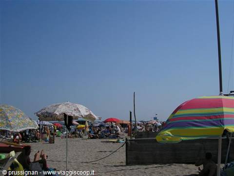 Crowded beach with colorful umbrellas and people in the sun