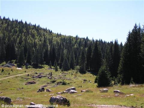 Boulders in grassy meadow, tall firs and cabin on forested slope