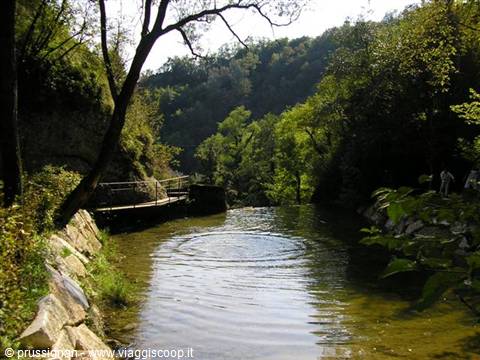 Natural swimming pool with water ripples, wooden walkway and trees