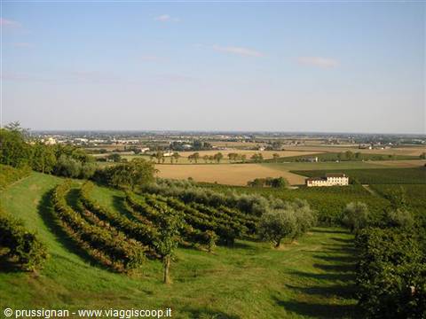 panorama towards the plain