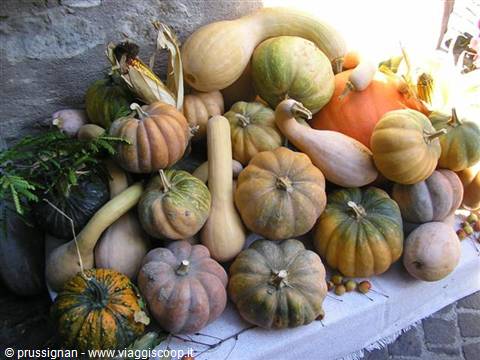Pumpkins and pale squashes piled on a stone market stall