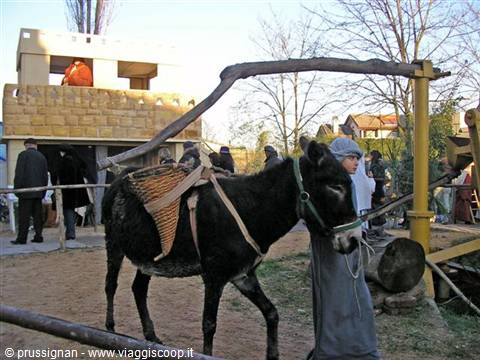 Donkey with wicker baskets beside a boy at a living nativity scene