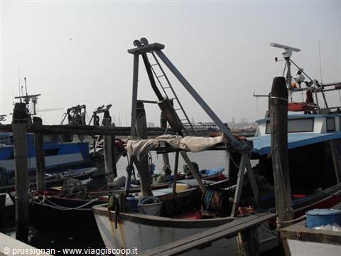 fishing boats