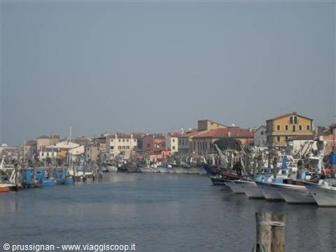 Fishing boats moored along the canal harbor among colorful Chioggia houses