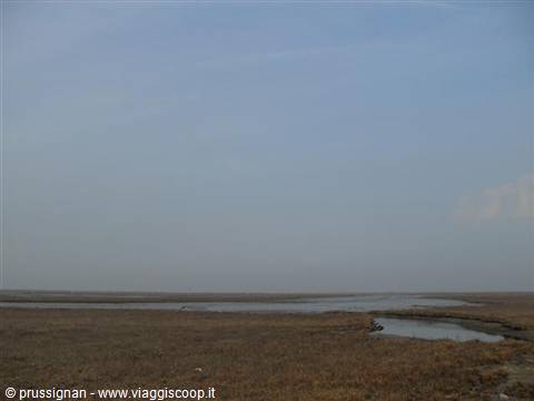 view of the lagoon