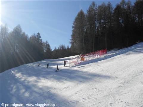 Skiers descending a groomed snowy slope among firs and red safety nets