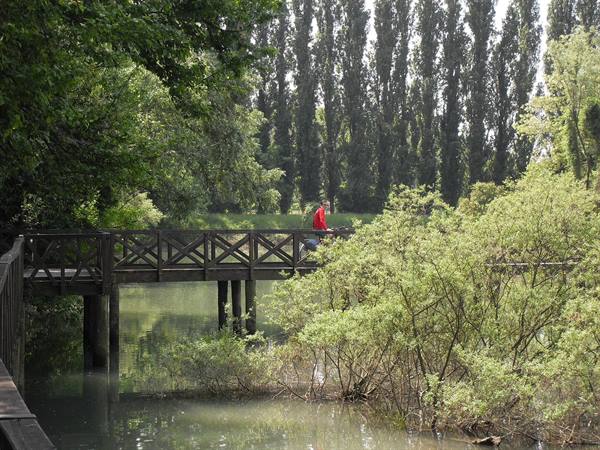 spectacular bridges