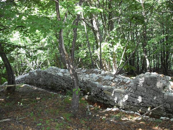images from the trenches