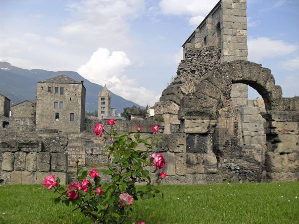 Blooming rose in front of the Roman Theatre ruins in Aosta