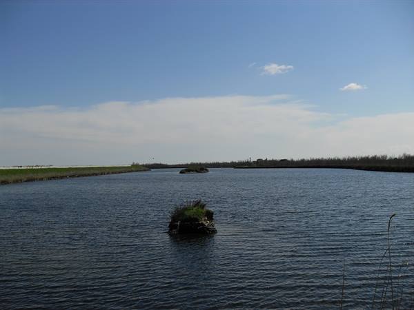 Grassy islet in the middle of a lagoon, green banks under blue sky