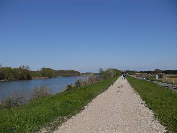 along the Adige embankment