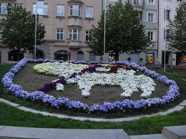 Flower bed with purple and white blooms shaped like an animal in a town square