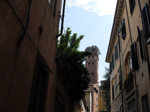 Guinigi tower