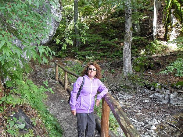 Woman in purple jacket leaning on wooden railing along a forest trail