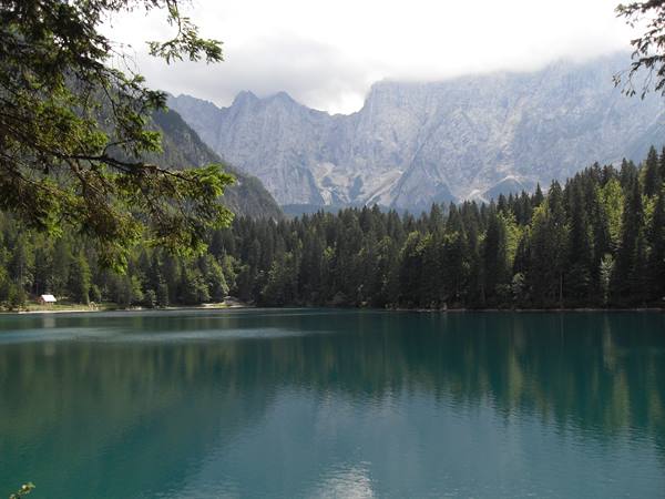 Emerald alpine lake surrounded by firs and rocky peaks