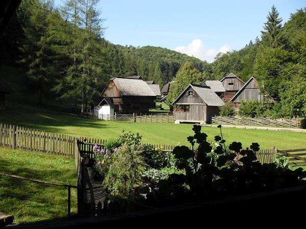 Wooden houses with shingle roofs on a fenced green meadow among forests