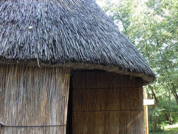 Round hut with thatched walls and roof, dark doorway among green trees