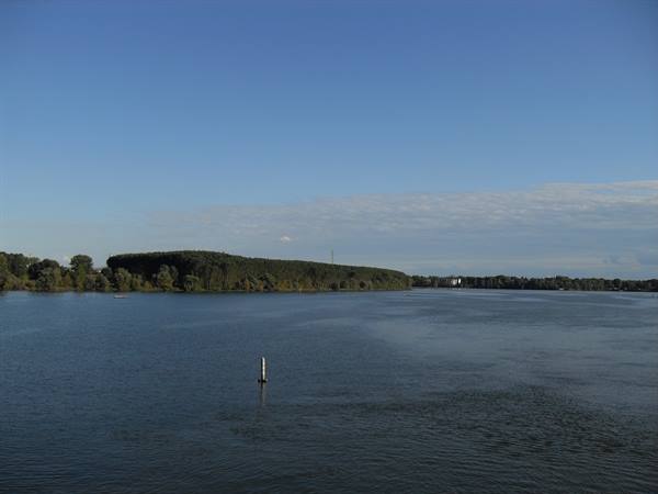 Wide river with white buoy, tree-lined bank, clear blue sky