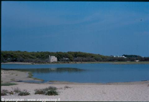 Porto Cesareo island of the Rabbits