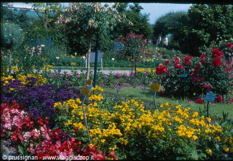 botanical garden of Nymphenburg