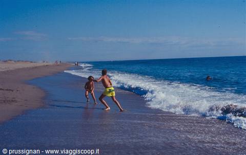 Children playing in the waves on a sandy beach under blue sky