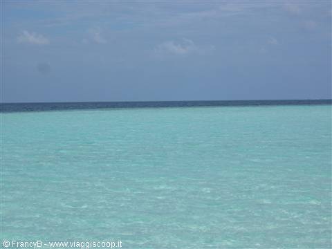 Turquoise shallow water meets dark blue sea at the horizon