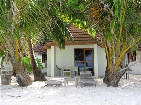 White bungalow among palm trees on white sand, wooden loungers