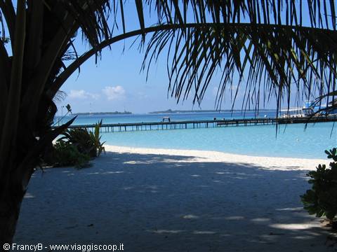 White sand beach framed by palm trees, wooden pier over turquoise water