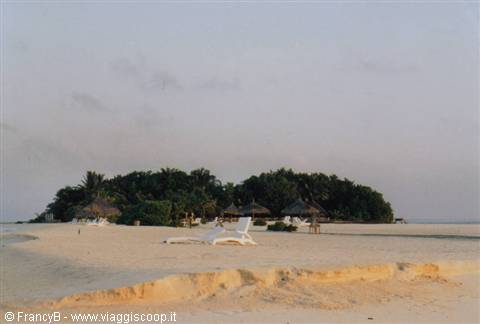 sandbank at dawn