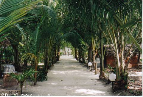 inner path