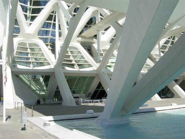 White Calatrava structures over the pool, City of Arts and Sciences, Valencia
