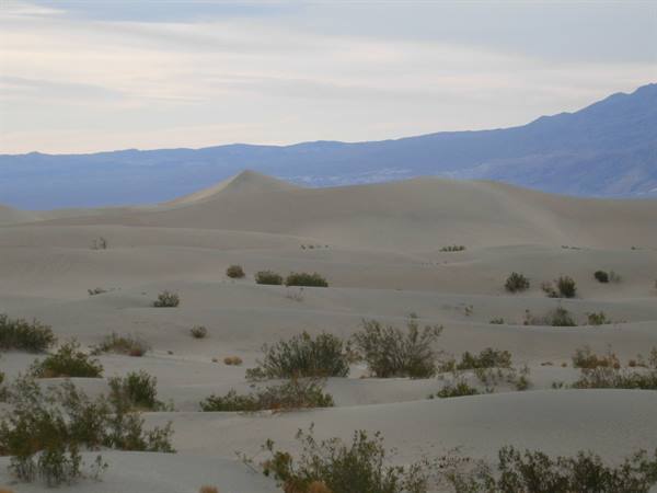 Sand dunes - Death Valley