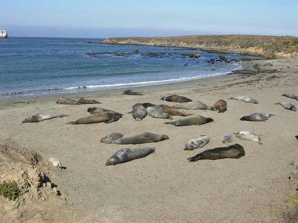 Along Hwy 1