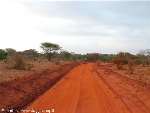 Safari - Tsavo East
