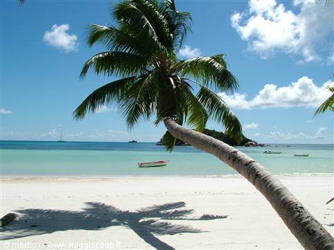 Praslin - Anse Volbert