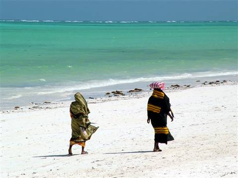 Beach of the Ocean Paradise