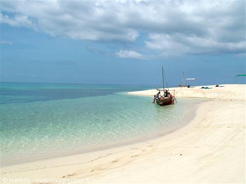 Sandbank (BLU SAFARI)