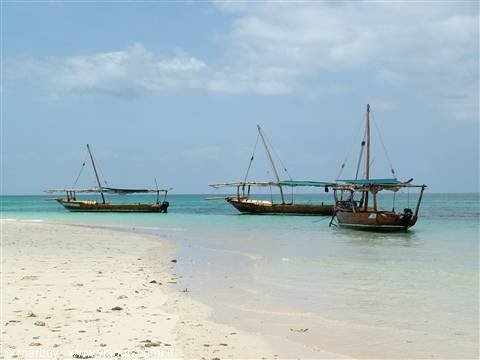 Strip of sand
