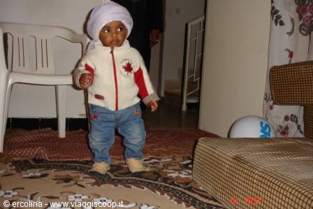 Sejed of Arabia