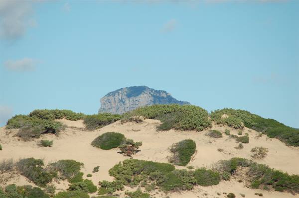 Sandy dune with green shrubs, a rocky mountain rising behind under blue sky
