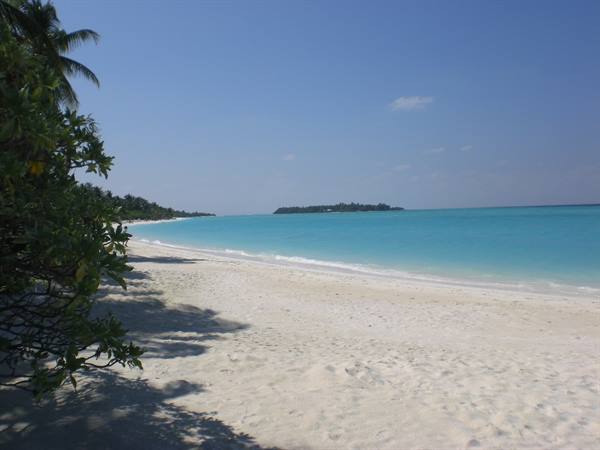 White sand beach with green bushes, turquoise water and a small island ahead