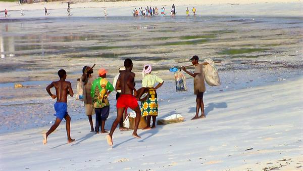 Watamu: morning exercises
