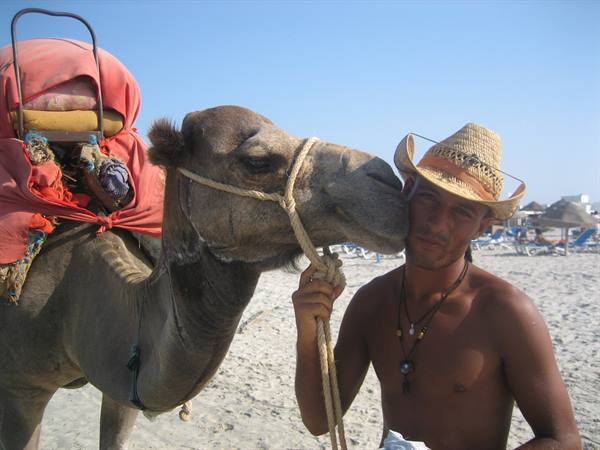 Camel with red saddle kisses a man in straw hat on sunny beach