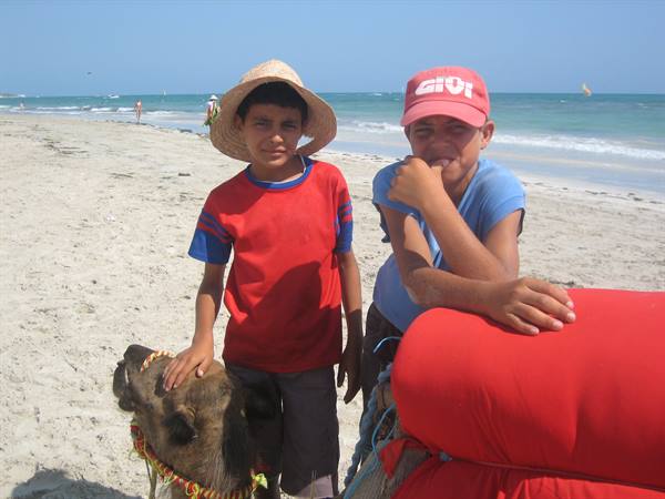 Two boys, one in straw hat, pet a donkey on a sunny beach