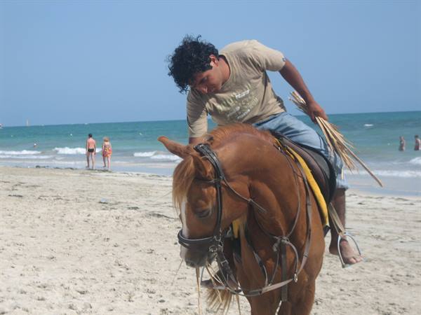 Young man in beige t-shirt on brown horse holding dry sticks, beach and turquoise sea