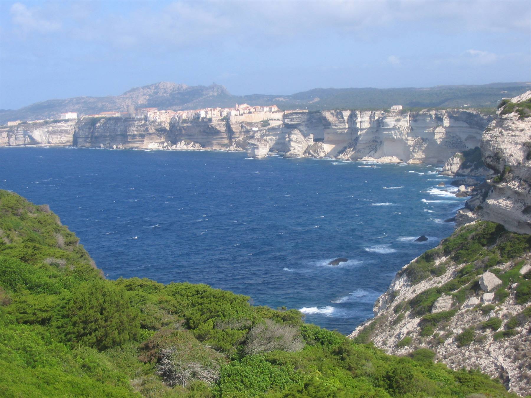 VIEW OVER BONIFACIO