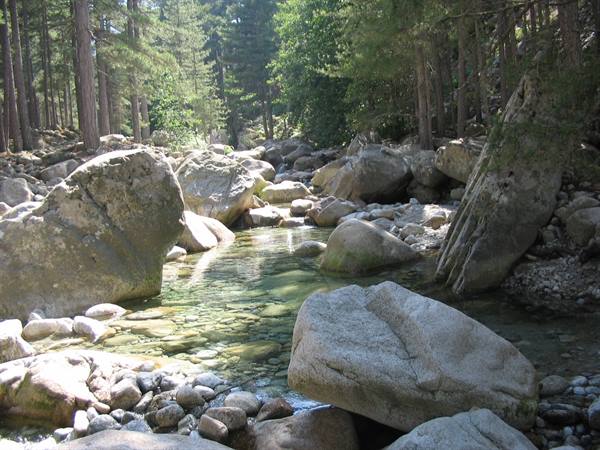 THE RESTONICA VALLEY