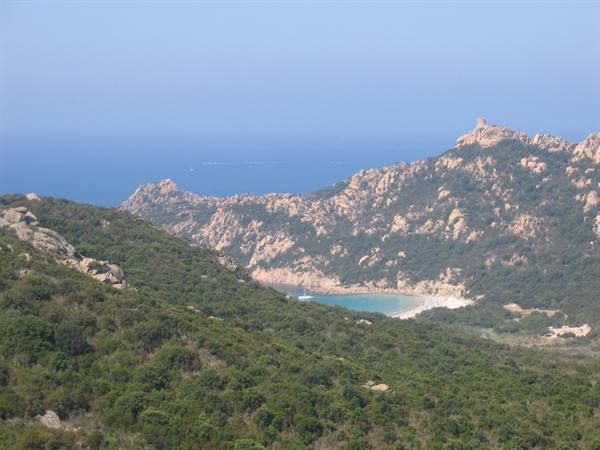 THE GHOSTLY LION OF ROCCAPINA (MAYBE)