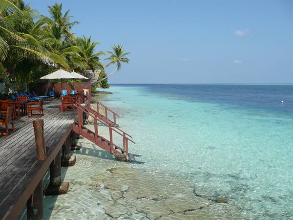 Wooden jetty with umbrellas and stairs into turquoise water, tropical palms
