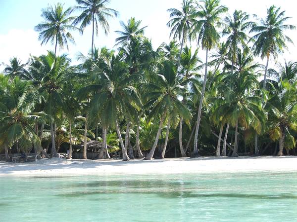 SAONA ISLAND